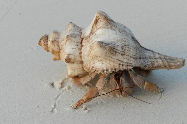 6–Day Zanzibar Hidden Wonders Itinerary