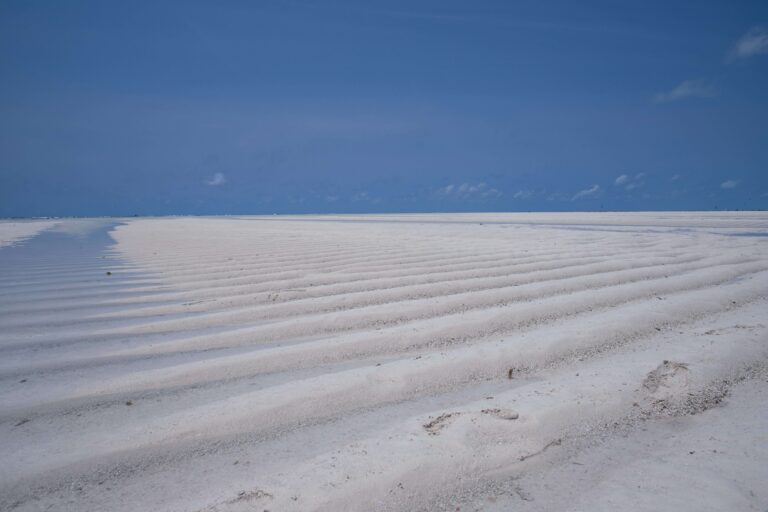 White sands