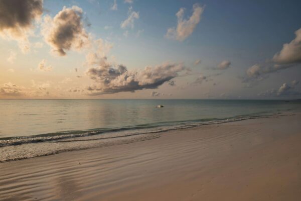 1 Full Day Coastal Experience: Kuza Cave, Paje Beach & Jambiani Village Life