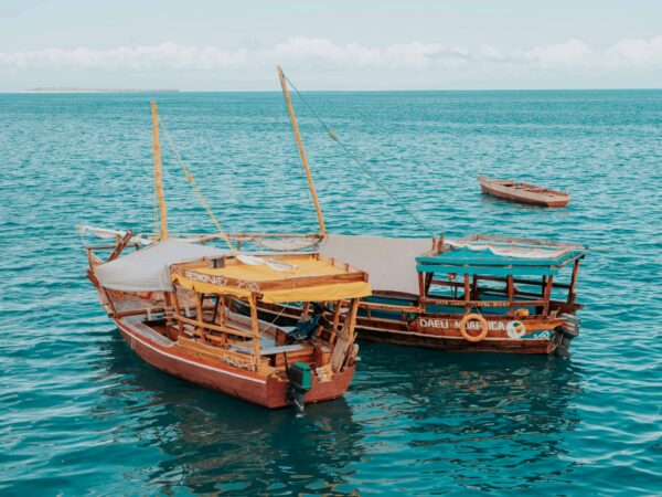 1–Day Zanzibar Hidden South Experience